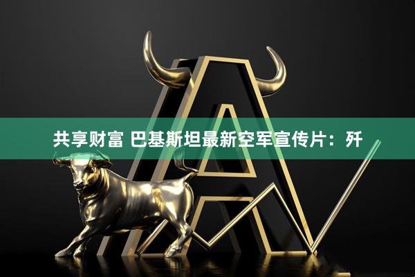 共享财富 巴基斯坦最新空军宣传片：歼