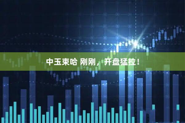 中玉束哈 刚刚，开盘猛拉！
